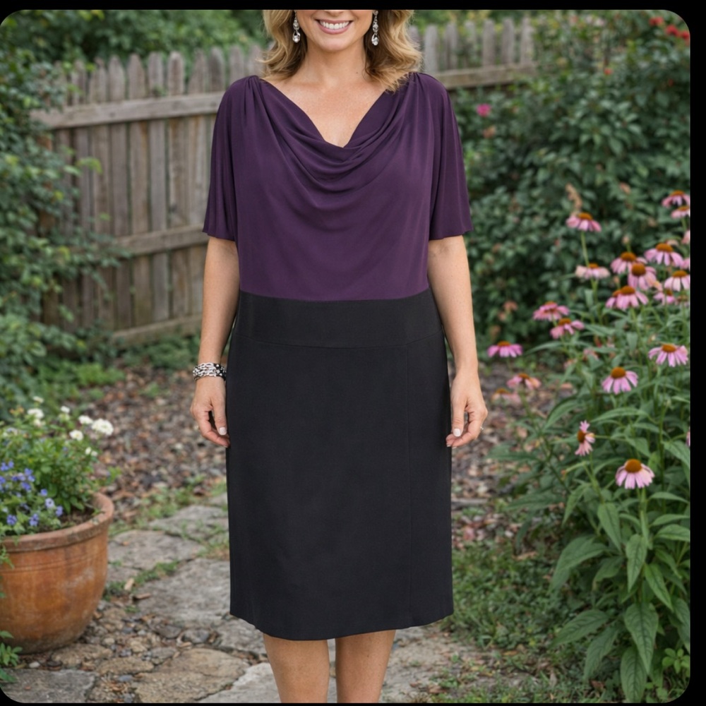 Black & Purple Drap-Neck Dress